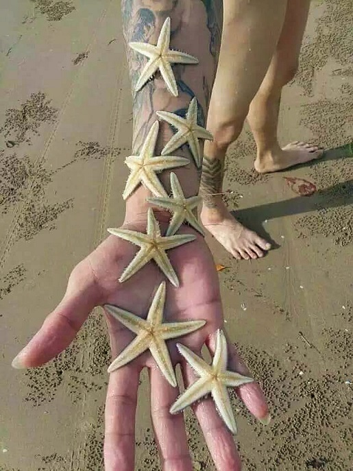 公众发现海星后放在手上拍照留念!
