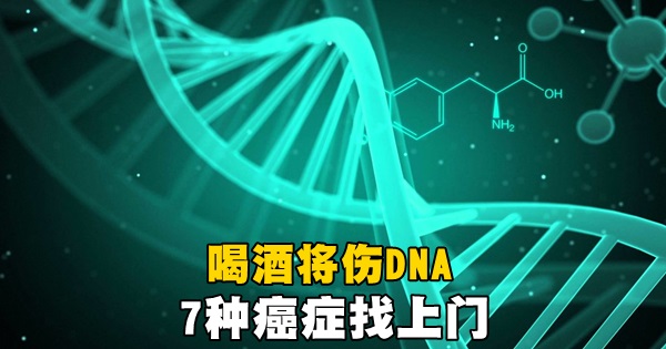 dna