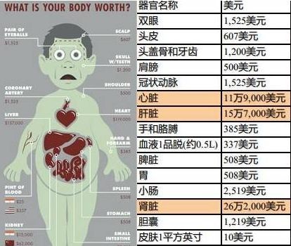 触目惊心！每6周就有1个澳洲人从中国等地黑市买器官、产业链超$23亿（组图） - 2