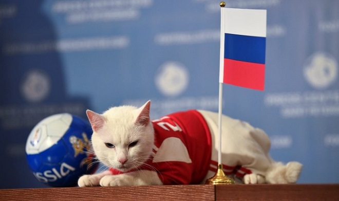 2018-06-13T121839Z_1630623973_RC12CDBCB090_RTRMADP_3_SOCCER-WORLDCUP-RUS-SAU-ORACLE-CAT