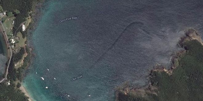 googlemap