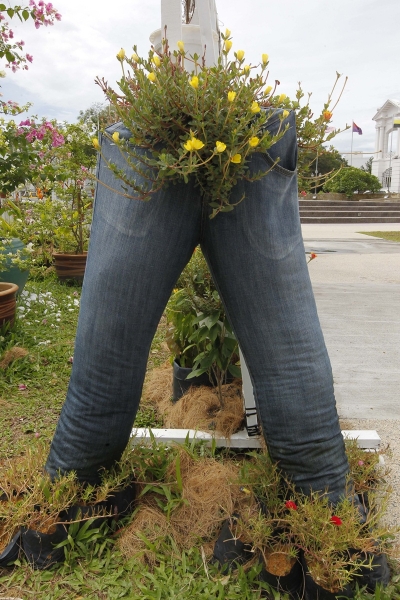 牛仔裤不仅能穿出潮流，作为盆栽种植花朵也一样出色