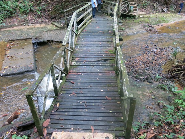 腐烂的木板桥，不宜供游客步行。