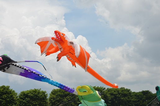 火龙造型大型风筝首次在民都鲁婆罗洲国际风筝节活动上登场争艳。 