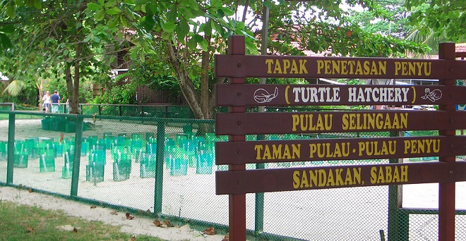 Selingan-0482.jpg