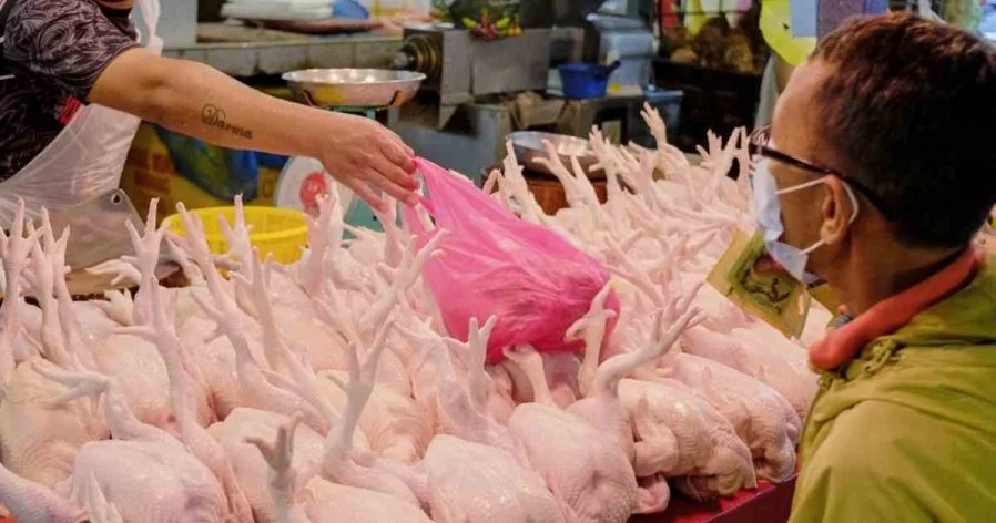 贸消部：与业界达成共识鸡肉价格恢复稳定| 马来西亚诗华日报新闻网