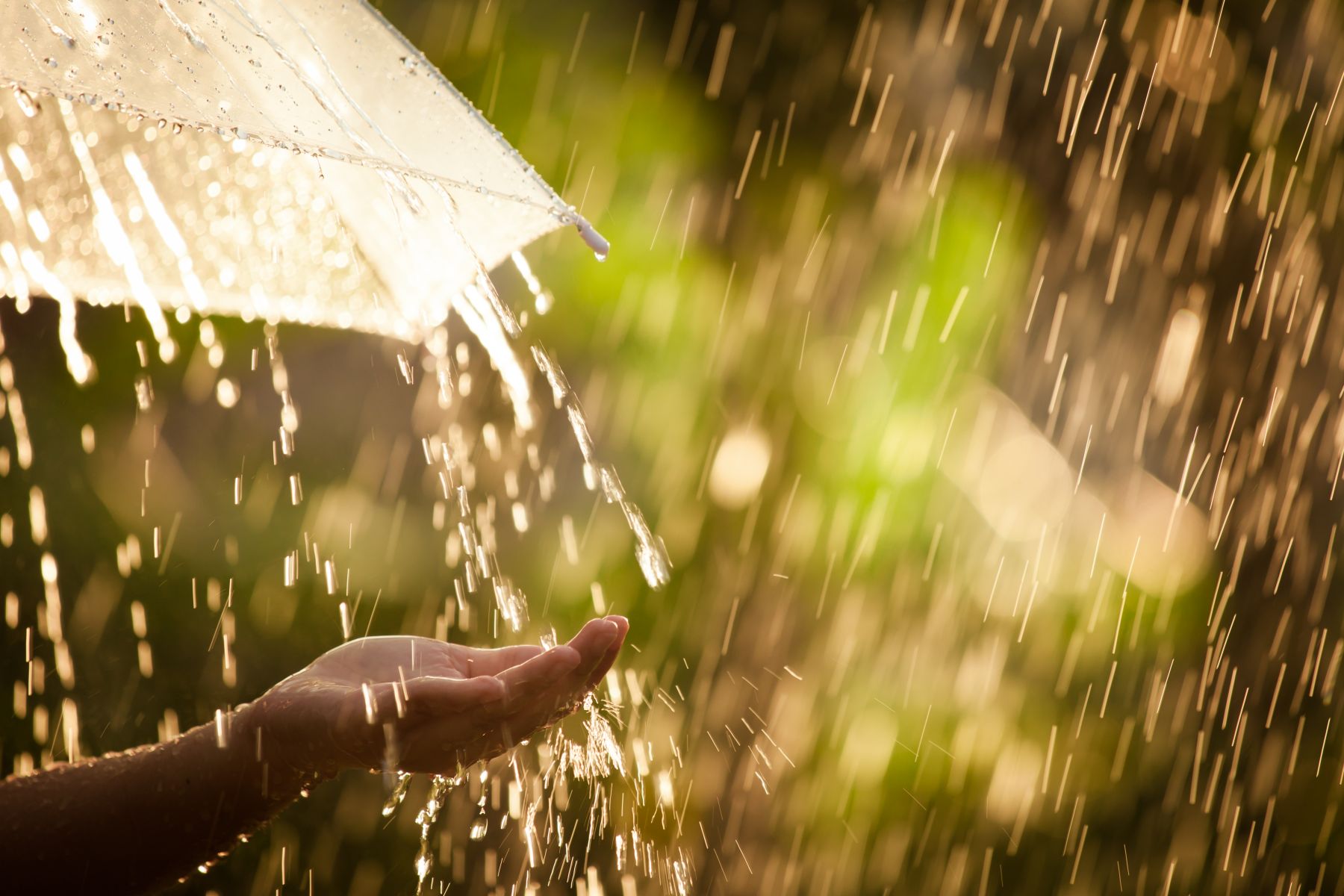 沙巴多个主要城市周日及周一都会有雨| 马来西亚诗华日报新闻网