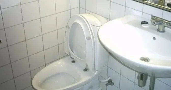 toilet1b-696x366-1.jpg-1