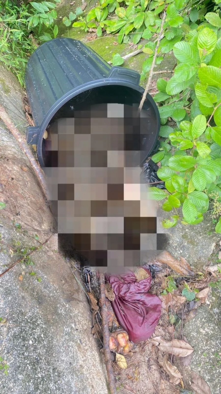 垃圾桶恐怖女尸案排除死者为失踪单亲妈妈| 马来西亚诗华日报新闻网
