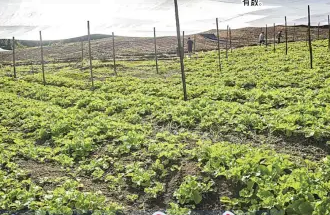 capture-20240226-055421