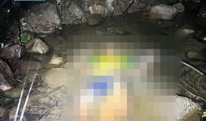 web.whatsapp
